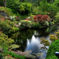 садовый пруд в японском стиле
