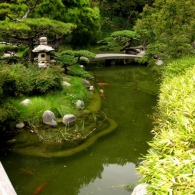 японский стиль водоема в саду