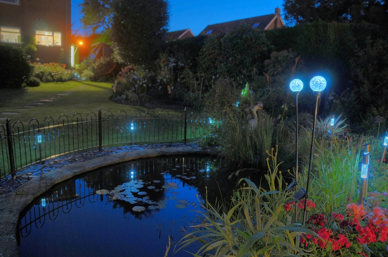 Освещенность водоемов. Подсветка пруда. Декоративное освещение водоема. Декоративный пруд с подсветкой. Подсветка пруда в саду.