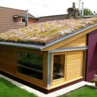 озеленение крыши пристройки