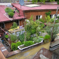 roof-garden