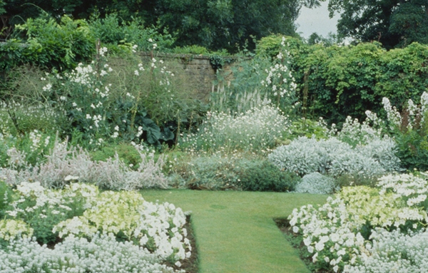 белый сад