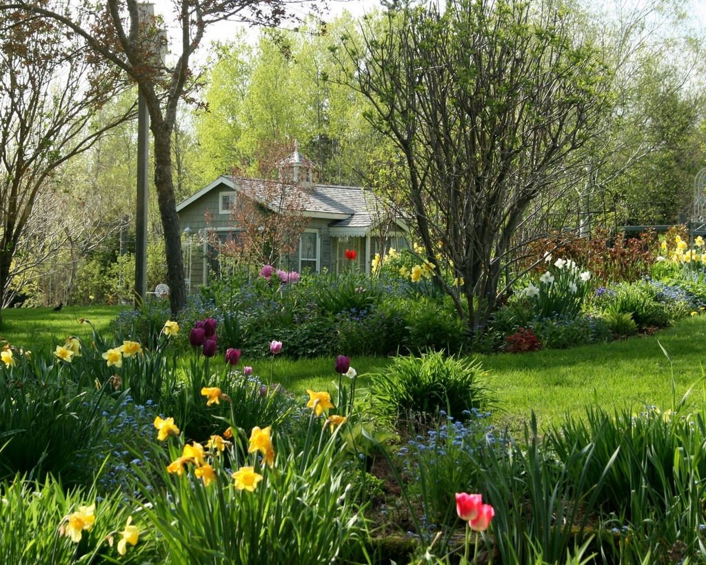 Цветущий весенний сад